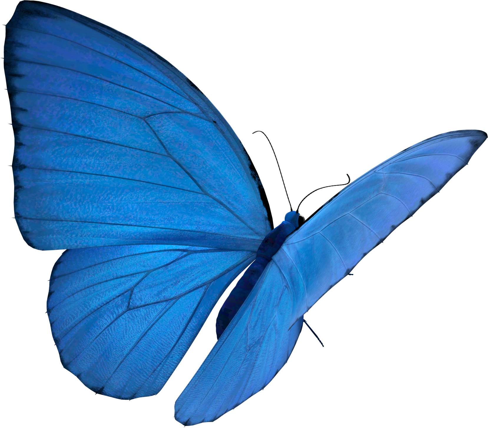 Toray Butterfly